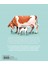 Vaches -Fransızca 3