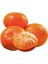 5 Adet Tüplü Iri Meyveli Mandalina Fidanı 5
