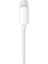 302 Tak Çalıştır Lightning iPhone Kulaklık Plug And Play 4
