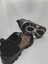 Trekking Bot 2