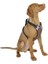 Köpek Gövde Tasması Pulsive Boyun 50-62CM - Göğüs 56-74CM 2