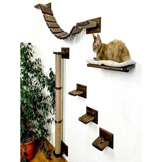 Torbreck Kedi Mobilya Seti | Kedi Tırmalaması | Kedi Merdiveni | Kedi Yatağı | Kedi Basamakları
