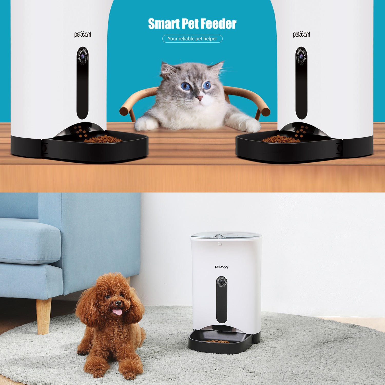 Petwant PF103 Kameralı Akıllı Otomatik Kedi Köpek Mama Kabı Fiyatı