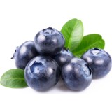 Fidanistanbul  Yaban Mersini Fidanı Blueberry Jubile Saksılı