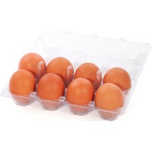 Viyolpazarı 8'li Plastik Yumurta Viyolü 100 Adet