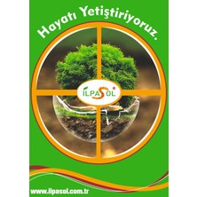 Ilpasol Organik Soleonmix Solucan Gübresi Leonardit Granül Gübre