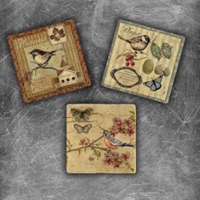 Oscar Stone Decor Doğaltaş Magnet - 3'lü Set