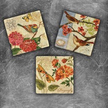 Oscar Stone Decor Doğaltaş Magnet - 3'lü Set