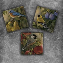 Oscar Stone Decor Doğaltaş Magnet - 3'lü Set