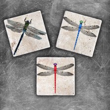 Oscar Stone Decor Doğaltaş Magnet - 3'lü Set