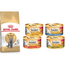 Royal Canin Adult Yetişkin British Shorthair Kedi Maması 2 kg + Gourmet 4'lü Karışık Konserve 85 g