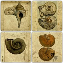 Oscar Stone Decor Doğaltaş Bardak Altlığı 4'lü Set 10 x 10 cm