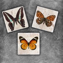 Oscar Stone Decor Doğaltaş Magnet - 3'lü Set