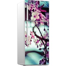 Renkselart Buz Dolabı Beyaz Eşya Sticker 019