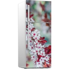 Renkselart Buz Dolabı Beyaz Eşya Sticker 020