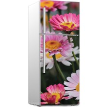 Renkselart Buz Dolabı Beyaz Eşya Sticker 030