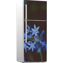 Renkselart Buz Dolabı Beyaz Eşya Sticker 042