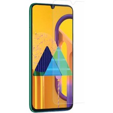 Ally Ak-31479 Samsung Galaxy M30S Tempered Kırılmaz Cam