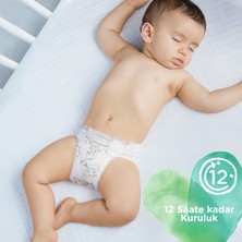 Prima Pure Bebek Bezi 1 Beden 70’li + Prima Aqua Pure Islak Havlu Hediyeli