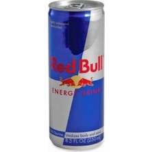 Red Bull Redbull 250 ml 24'lü Set