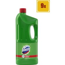 Domestos Çamaşır Suyu Dağ Esintisi 2 Lt 9'lu Set