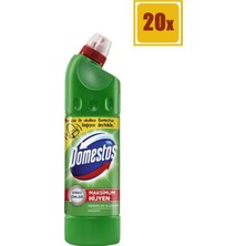 Domestos Çamaşır Suyu Dağ Esintisi 810 gr 20'li Set