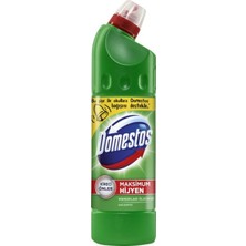 Domestos Çamaşır Suyu Dağ Esintisi 810 gr 20'li Set