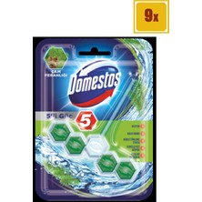 Domestos Wc Blok 5'li Çam Ferahlığı 9'lu Set