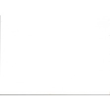 Evy Baby  Bebek Şampuanı 250 ML