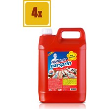 Highgenic Narsprin Çok Amaçlı Temizleyici 5000 ml 4'lü Set