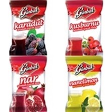 Günbak Karadut Kuşburnu Nar ve Nane Limon 1000 gr