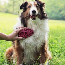 Kong Köpek Oyuncak, ZoomGroom Tarak, Mavi