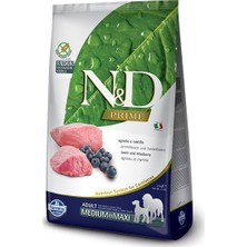 N&D Prime Kuzu & Yaban Mersinli Büyük Irk Yetişkin Köpek Maması 12 Kg