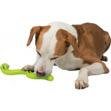 Trixie Köpek Ödül Oyuncağı, Yeşil Yılan, Tpr  42 Cm