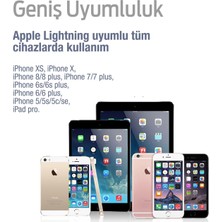 Subzero Apple iPhone Uyumlu Lightning Şarj Aleti