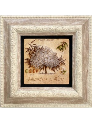 Oscar Stone Decor Çerçeveli Taş Duvar Dekoru