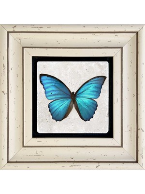 Oscar Stone Decor Çerçeveli Taş Duvar Dekoru