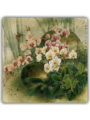 Oscar Stone Decor Doğaltaş Duvar Dekoru