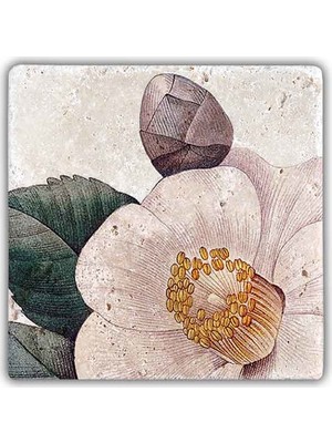 Oscar Stone Decor Doğaltaş Duvar Dekoru