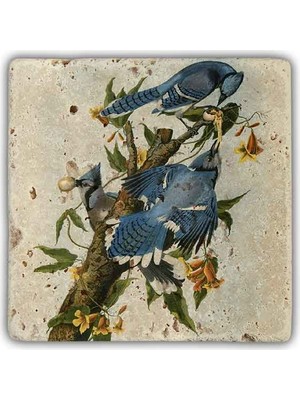 Oscar Stone Decor Doğaltaş Duvar Dekoru