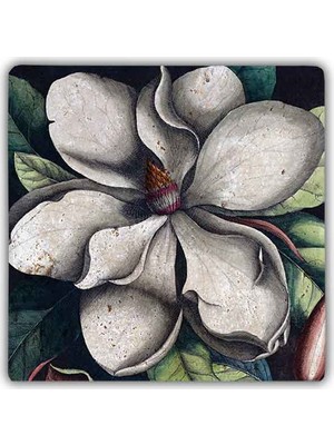 Oscar Stone Decor Doğaltaş Duvar Dekoru