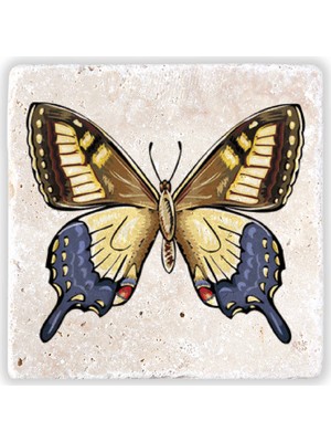 Oscar Stone Decor Doğaltaş Duvar Dekoru