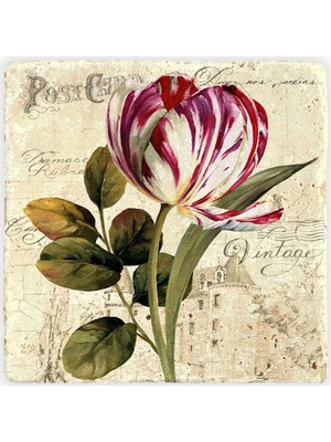 Oscar Stone Decor Doğaltaş Duvar Dekoru