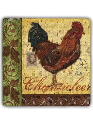 Oscar Stone Decor Doğaltaş Duvar Dekoru