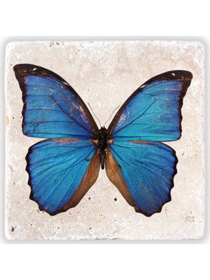 Oscar Stone Decor Doğaltaş Duvar Dekoru