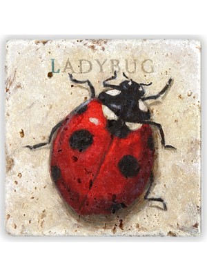 Oscar Stone Decor Doğaltaş Duvar Dekoru
