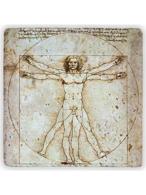 Oscar Stone Decor Doğaltaş Duvar Dekoru