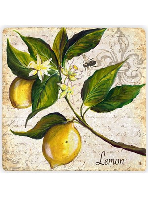 Oscar Stone Decor Doğaltaş Duvar Dekoru