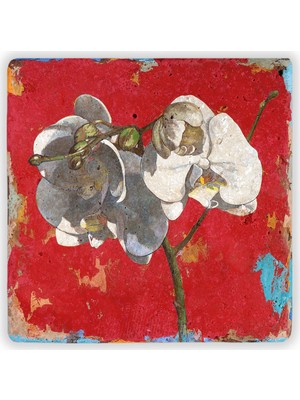 Oscar Stone Decor Doğaltaş Duvar Dekoru