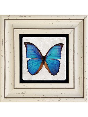 Oscar Stone Decor Çerçeveli Taş Duvar Tablosu